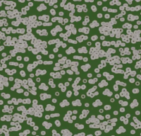 Ковровое покрытие Flotex  Sottsass 990403 Bacteria