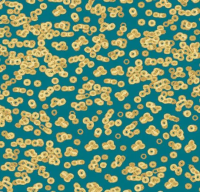 Ковровое покрытие Flotex  Sottsass 990503 Bacteria