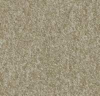 Tessera Create Space 1 1819 jasper