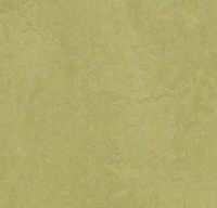 Marmoleum Fresco 3265 avocado