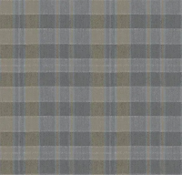 Ковровое покрытие Flotex Vision Pattern 590018 Plaid Steam