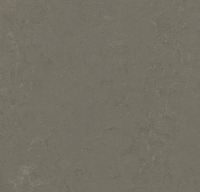 Marmoleum Concrete 3723 nebula