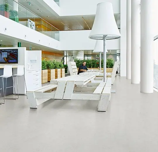 Marmoleum Concrete 3732 asteroid