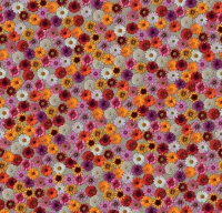 Ковровое покрытие Flotex Vision Image 000538 multifloral