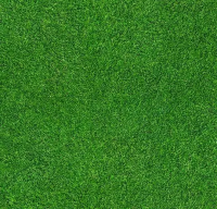 Ковровое покрытие Flotex Vision Image 000369 grass