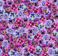 Ковровое покрытие Flotex Vision Image 000410 pink floral