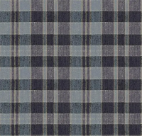 Ковровое покрытие Flotex Vision Pattern 590014 Plaid Denim