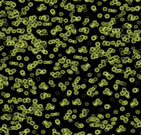 Ковровое покрытие Flotex  Sottsass 990103 Bacteria