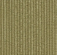 Tessera Arran 1524 moss tone