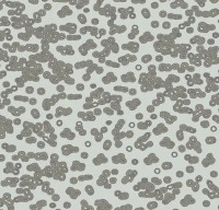 Ковровое покрытие Flotex  Sottsass 990201 Bacteria