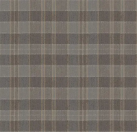 Ковровое покрытие Flotex Vision Pattern 590025 Plaid Tweed