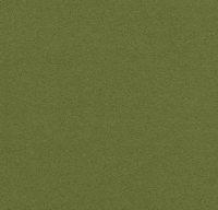 Ковровое покрытие Flotex  Разделители 211087 moss  15 m x 11 cm