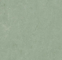 Marmoleum Fresco 3891 sage