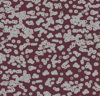 Ковровое покрытие Flotex  Sottsass 990402 Bacteria