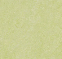 Marmoleum Real 3881 green wellness