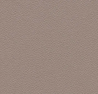 Safestep Aqua 180232 taupe