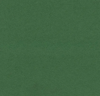 Ковровое покрытие Flotex  Разделители 211088 evergreen  15 m x 11 cm