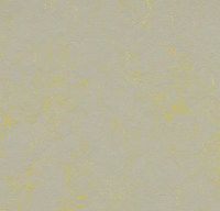 Marmoleum Concrete 3733 yellow shimmer