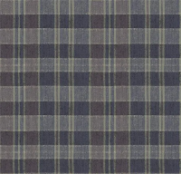 Ковровое покрытие Flotex Vision Pattern 590021 Plaid Iris